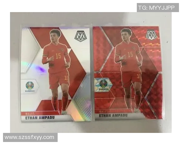 帕尼尼足球球星卡拍卖价飙升 引发收藏市场热潮