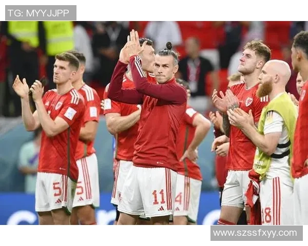 威尔士足球明星有哪些代表性球员及其成就分析