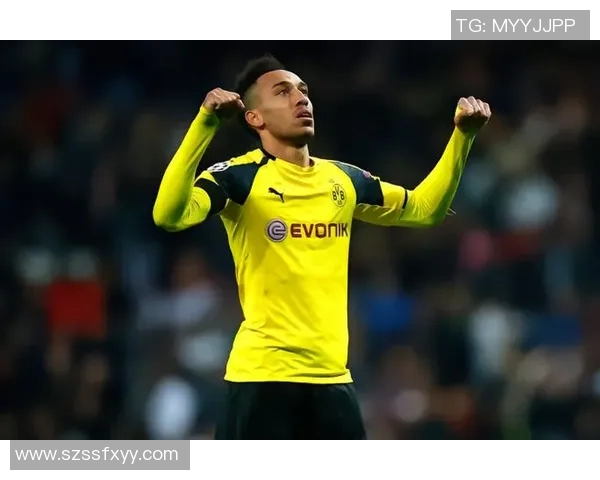 美国本土最具影响力的足球球星实力与成长之路全面解读